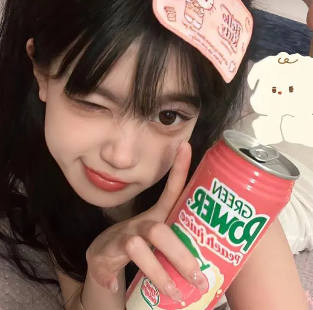 美人追